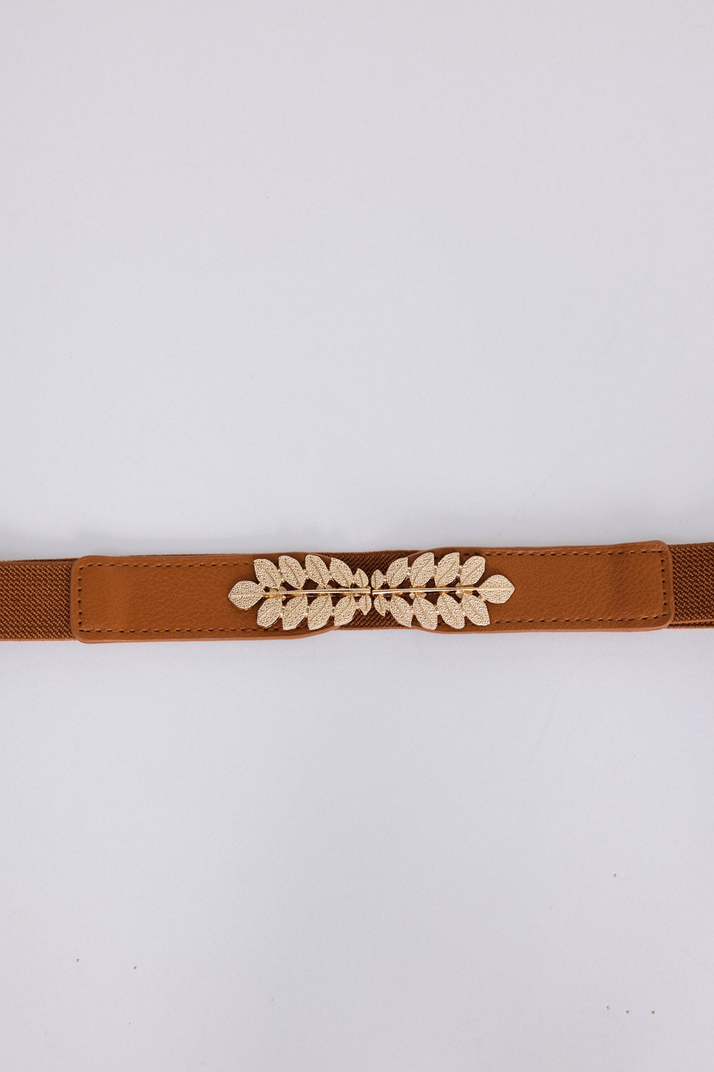 Mae Stretch Belt - Tan belt in tan with statement buckle detail, front view on white background