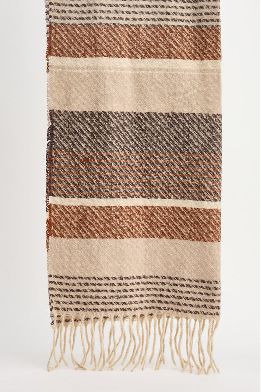 Striped woven scarf with fringes on a white background