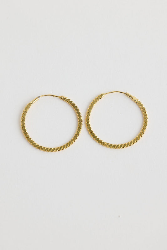 Close-up of gold oscar earrings earrings on white background.